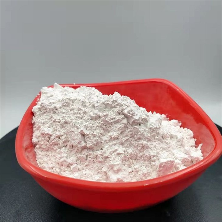 _20240126110745_(001)